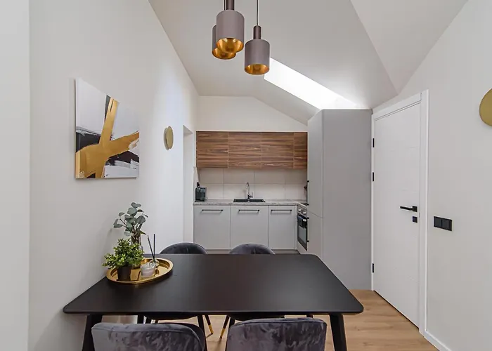 アパート Zydu Str Two Bedrooms By Urban Rent ヴィリニュス